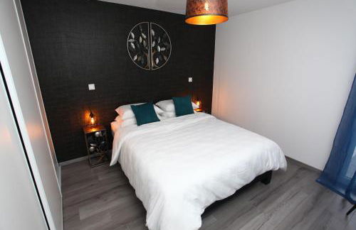 Le Riesling Colmar centre Charmant appartement avec terrasse et parking gratuit - Foto 13