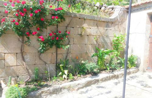 Casa de Campo Cabriz Casa do Brasileiro - Foto 1