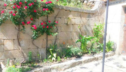 Casa de Campo Cabriz Casa do Brasileiro - Foto 1