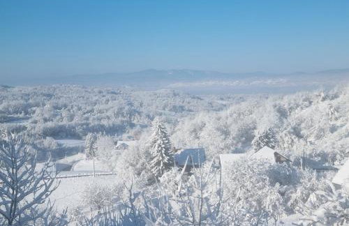 Vila Brloska - Foto 19