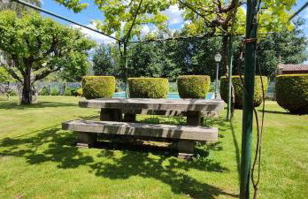 O Retiro de Bernardo - Foto 5