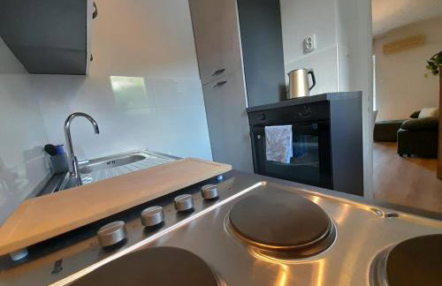 Apartment Pinia with free parking - Photo 10