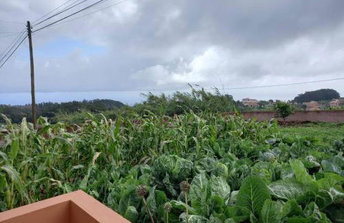 Peaceful place in Porto Moniz - Foto 16
