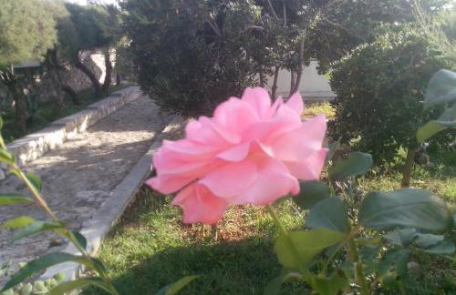 Apartman LAURA 1 - Photo 15