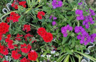 Apartman Lukić - Foto 5