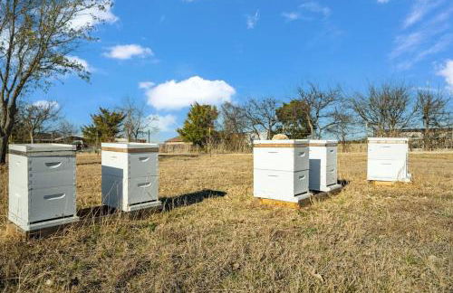 Honey Farms - Foto 16