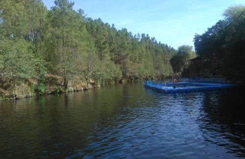 Palheiros da Ribeira - Foto 37