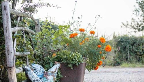 Doeling Barcombe - Photo 3