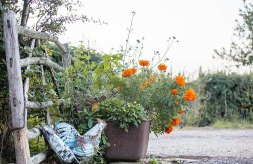 Doeling Barcombe - Foto 3