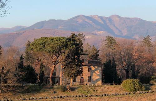 Salceta, a Tuscany Country House - Photo 30