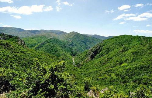 Mas Mialou - Foto 38