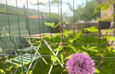 L'appart de Cécile - Foto 15