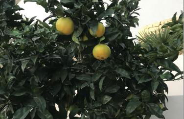 Casa Zebole - Photo 25