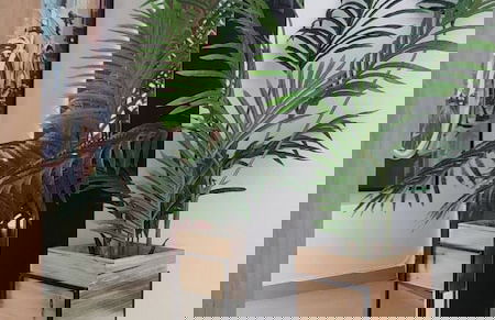 Cozy 35m2 Apartment in Central Skopje - Photo 38