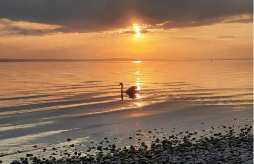 Ferienwohnung Thoma - Foto 13