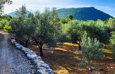 Mala Kuća - Photo 35