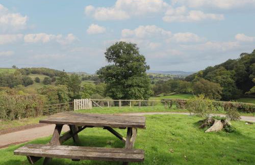 Upper Pandy Farm - Foto 21