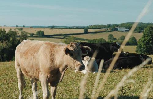 Penmarlam Lodge Retreat 12 - Foto 26