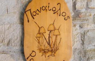 Τα Πέτρινα της Ελάτης - Petrina Elatis - Foto 48