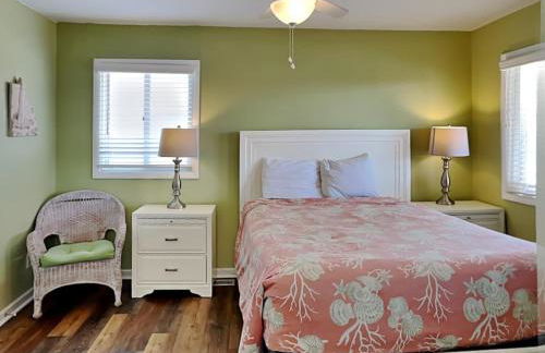 Turtle Sanctuary - Foto 13