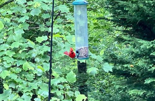 Mystic Creek Retreat (next to Blue Ridge) - Foto 18