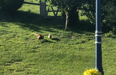 UPSIDE DOWN HOUSE - Sleeps up to 6 Guests - Great for Family and Friends Gatherings,Corporate events ,Near Sherwood Forest at Fairview Farm in Nottingham set in 88 acres - Foto 26