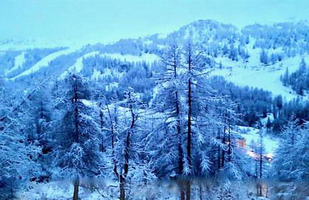 Les terrasses d azur - Photo 13