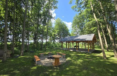 Domki Pod Olchowym Dachem Lubie - Foto 55