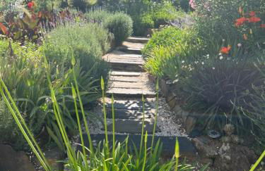 Manor Meeder - Foto 33