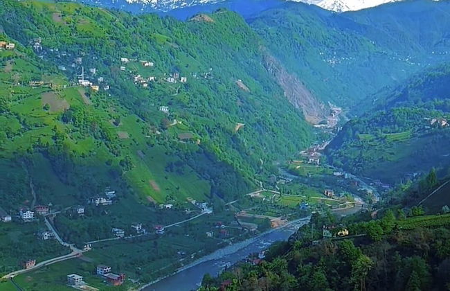 Seyri Alem Suite Bungalow - Photo 50