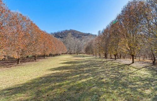 Serenity Views Retreat - Close to City and Parkway! - Foto 16