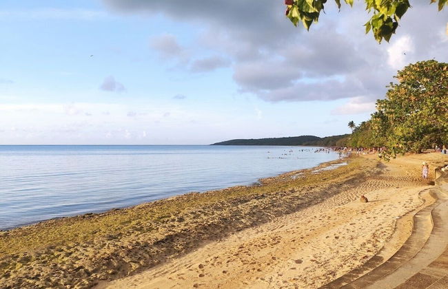 Beachfront Studios - Photo 60