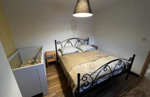 Ferienwohnungen Carlsfeld - Foto 37