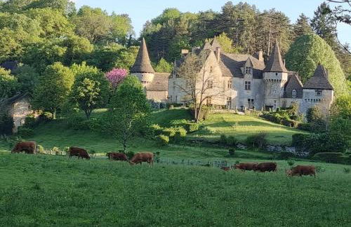 gite en pleine nature - Foto 25