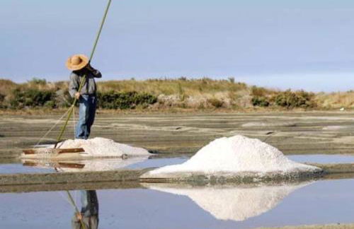 La Porte Saint Mi-Sel, Gîte au coeur de la cité médiévale - Foto 18