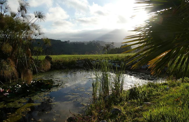 Vida-Vi, Country House and B&B - Foto 43