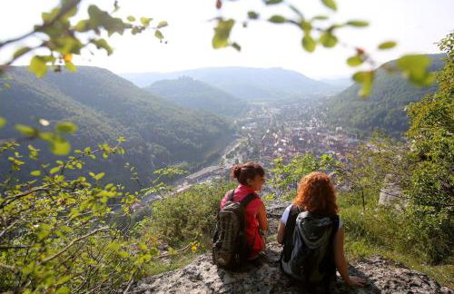 Erholungs- Apartment am Kurpark & Therme Bad Urach - Foto 21