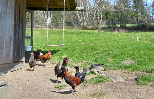 Berg-Panorama-Ferienwohnungen Gut-Lichtenau - Foto 28