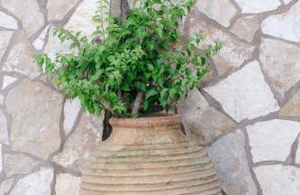 Villa Methoni Gem - Foto 76