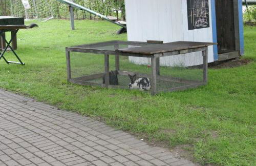 Hallmannshof - Foto 13