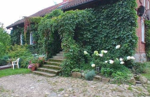 Agroturystyka Pod Dębem - Foto 9