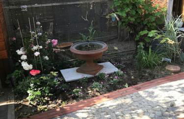 Unser Studio-Apartment "Wohlfühloase" - Foto 26