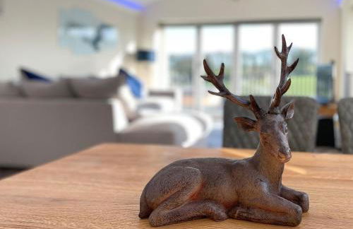 Hunters Cottage - Luxury, high end, hot hub, AC, slipper bath, couples retreat - Photo 27