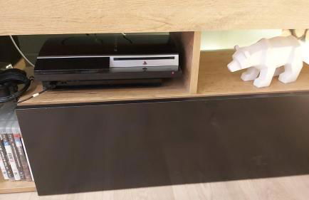 La forêt des Marmottes - Photo 35