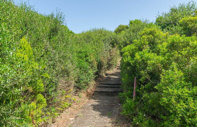 Biniforcat 11 in Los Delfines - Foto 28