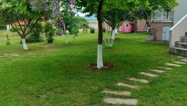 Green Meadow - Foto 3