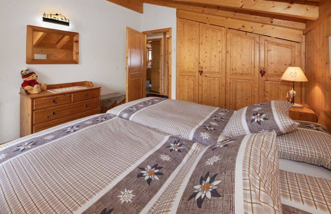 Ecureuil noir - Foto 16