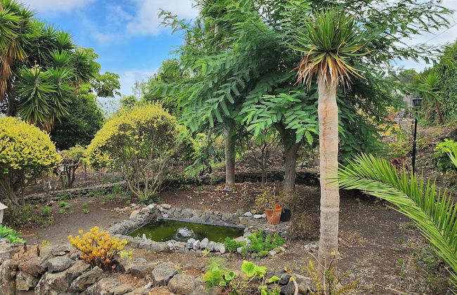 Oasis Hill Botanical Garden - Foto 59