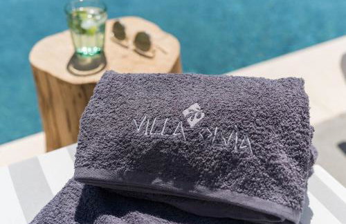 Villa Olvía - Photo 52