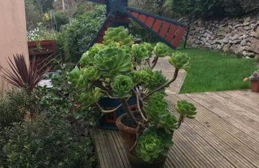 Bumble Bee Cottage - Photo 31